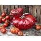Staub - Brytfanna pomidor 25cm