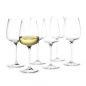 Holmegaard - Bouquet - Zestaw kieliszków do białego wina 6el.